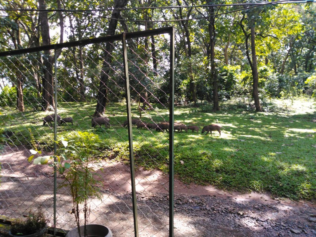 Wild Window - Forest View Homestay Thekkady Exterior photo
